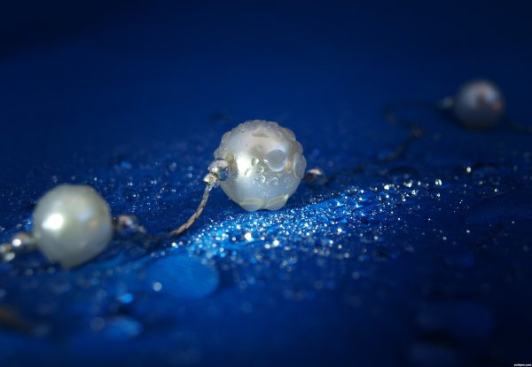 Морская звезда