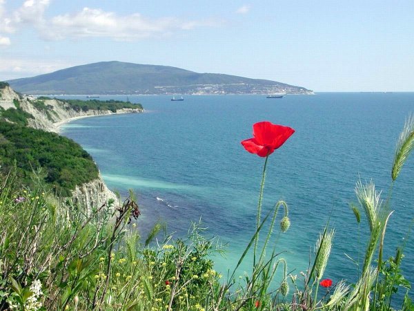 Рыбацкая бухта Геленджик