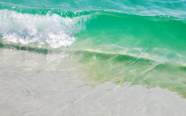 Бирюзовый океан