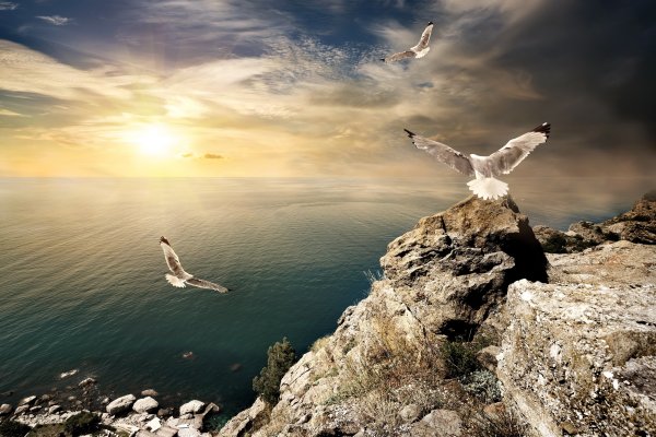 Одиночество на берегу моря