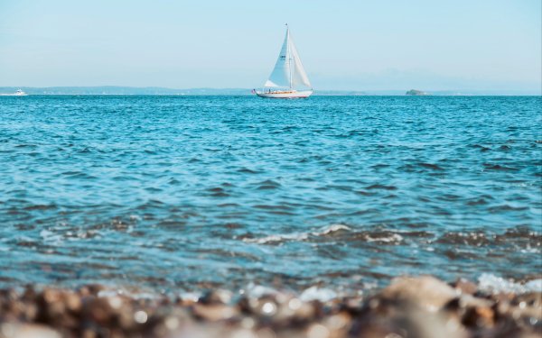 Море вдалеке