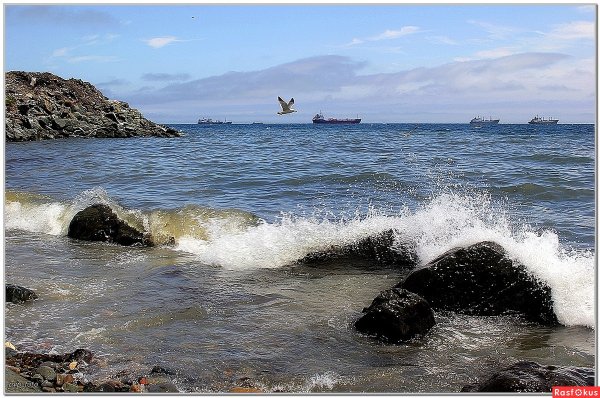 Владивосток черное море