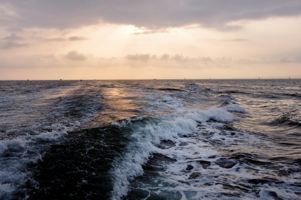 Бухта Чайка Владивосток