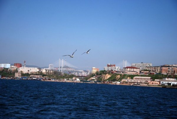 Побережье японского моря Владивосток