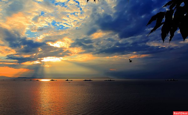 Японское море порт Владивосток