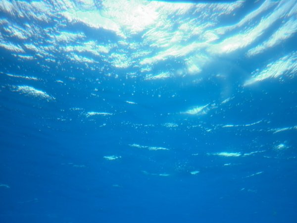 Вода в море внутри