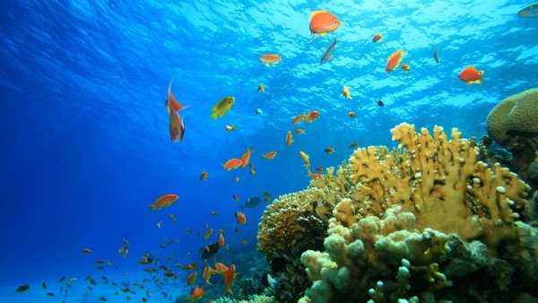 Море под водой