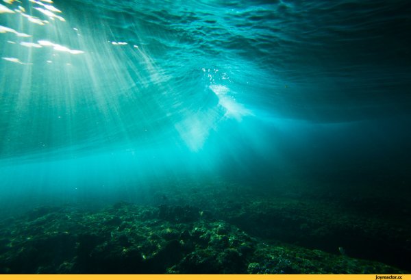 Океан под водой