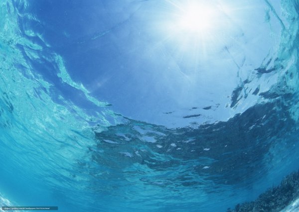 Океан под водой