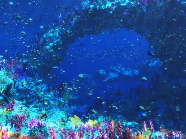 Океаны. Глубина