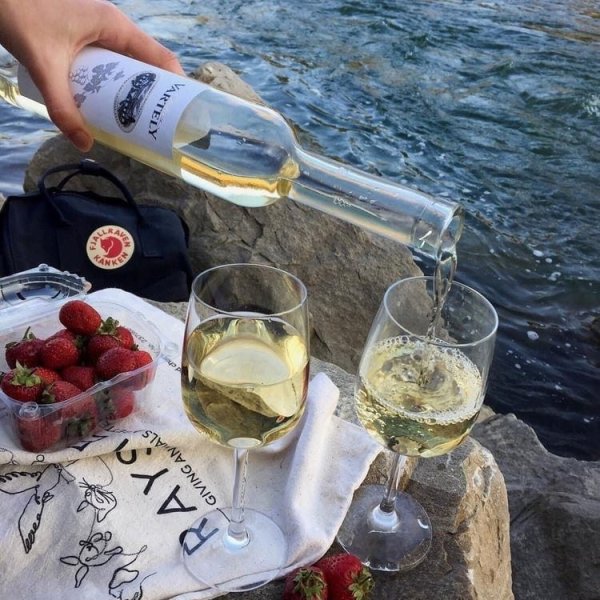 Пикник с вином на берегу моря