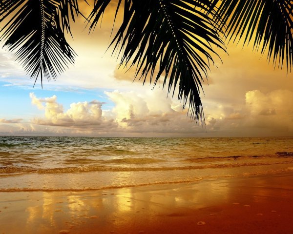 Красота черного моря