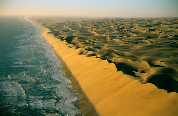 Береговая пустыня Намиб