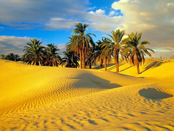Пустыня сахара в Тунисе