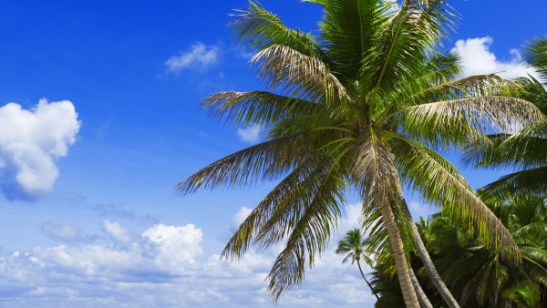 Намибия пустыня Намиб