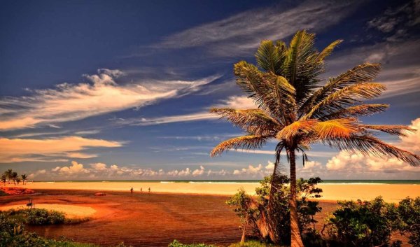 Пустыня Намиб встречается с Атлантическим океаном