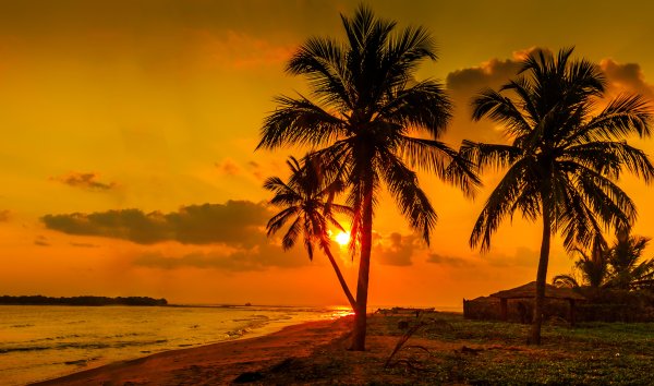 Гоа закат
