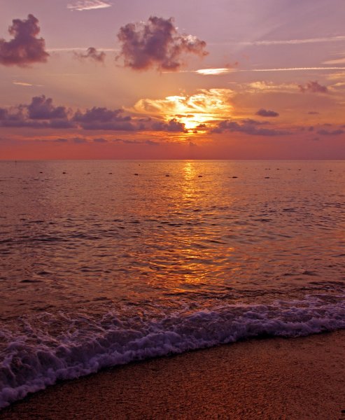 Ужин на берегу моря