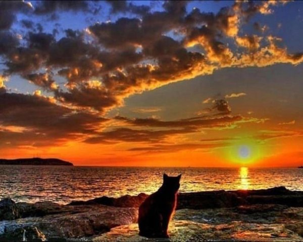 Романтическая ночь