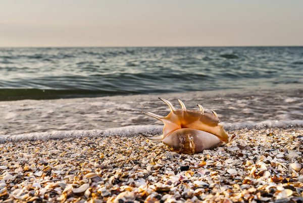 Море море мир бездонный