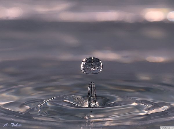 Капли в море