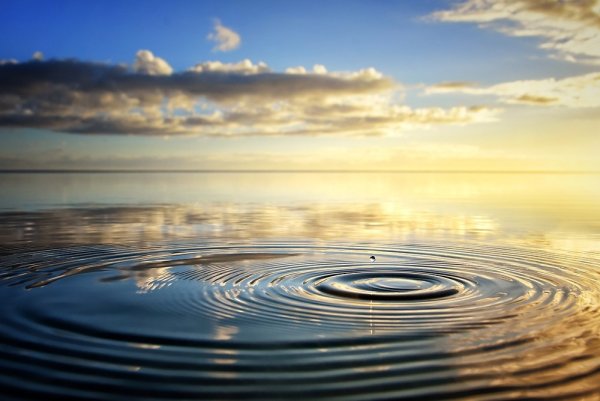 Капля в океане