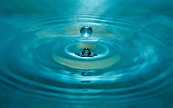 Капля в море