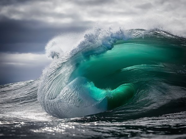 Гавайи ороллари