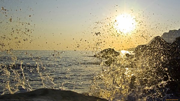 Брызги солнца