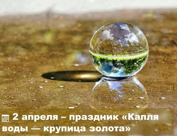 Увидеть мир в капле воды