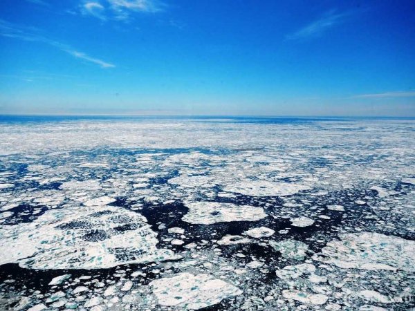 Печора у моря