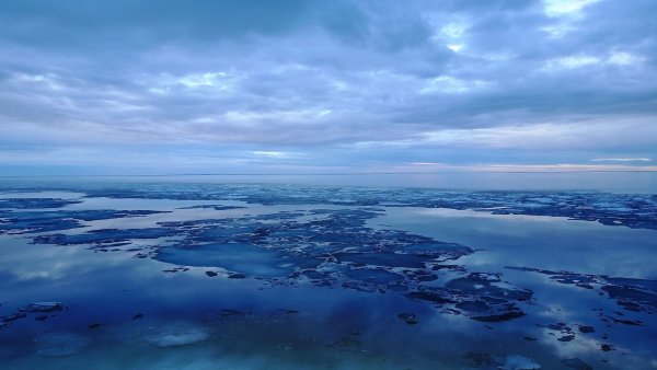 Гыданский заповедник