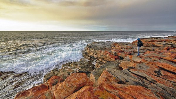 Приразломная Мурманск