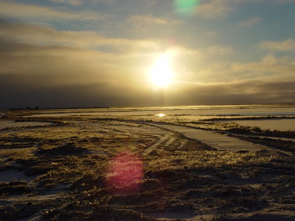 Нефтяная буровая платформа Приразломная