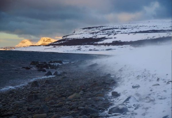 Перекачка нефти Приразломная