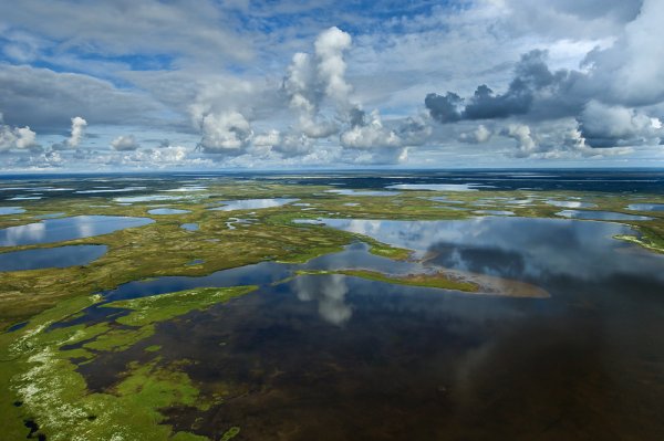 МЛСП Приразломная