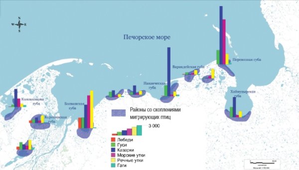 Заливы Баренцева моря на карте
