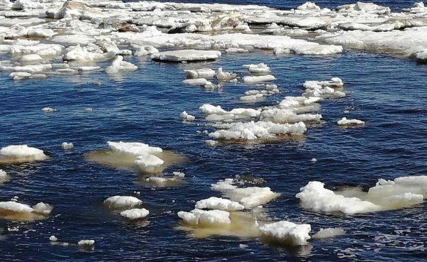 Карта НАО Ненецкий автономный округ-