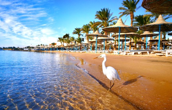 Шарм-Эль-Шейх море