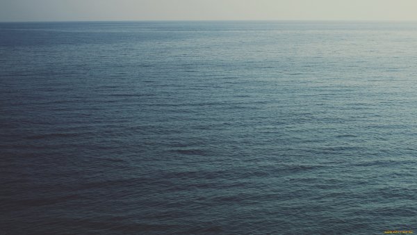 Мечты сбываются