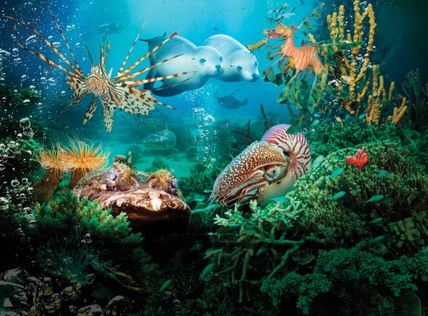 Тайны морских глубин картинки