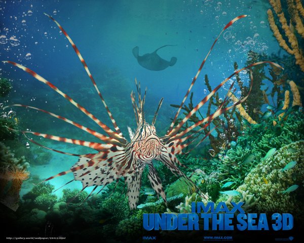 Подводный мир