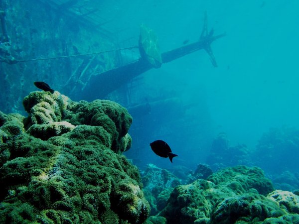 Затонувшие корабли в тихом океане