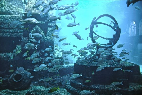 Олус Греция затонувший город