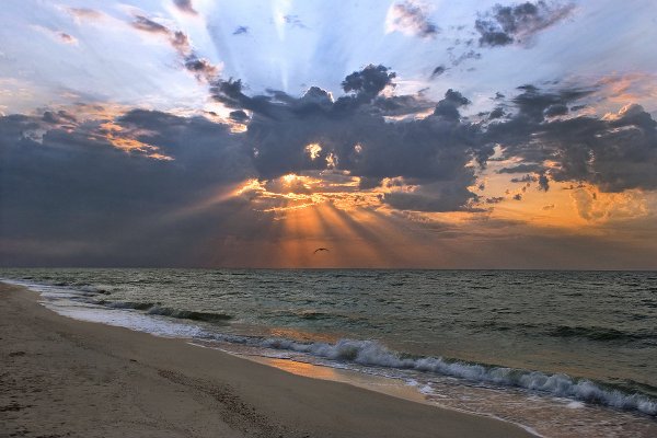 Азовское море Мариуполь