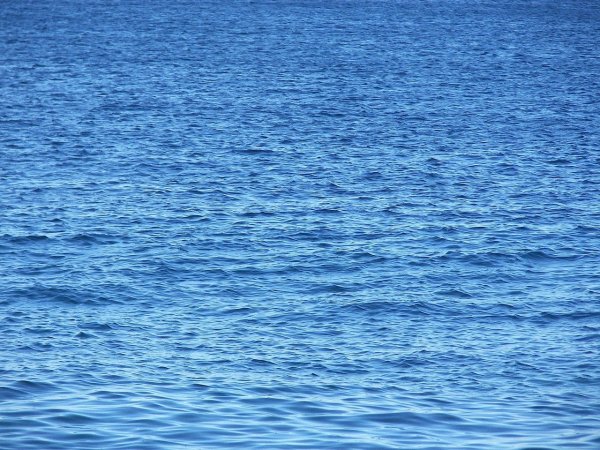 Водная поверхность