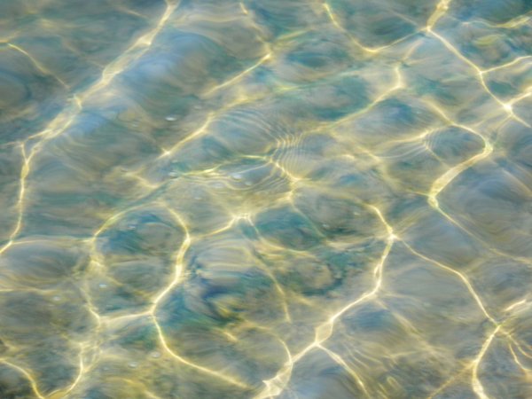 Песчаное дно