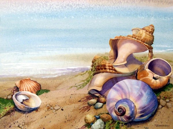 Ракушки для декупажа