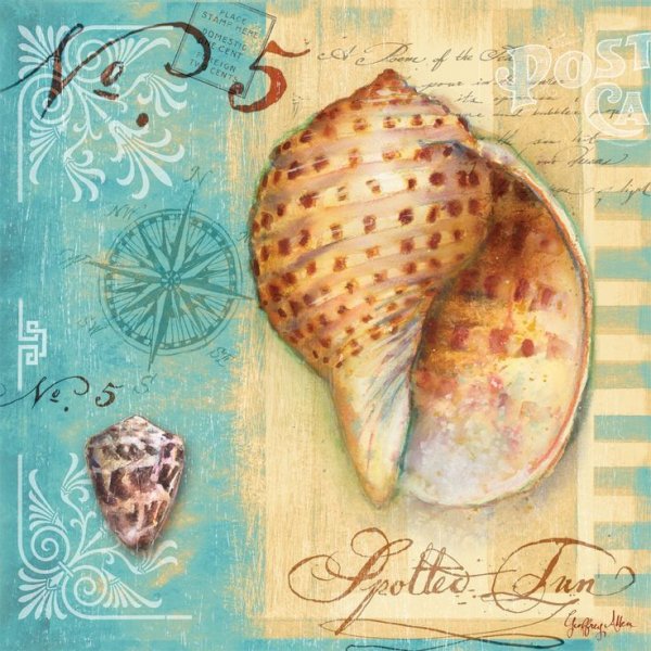 Винтажные ракушки