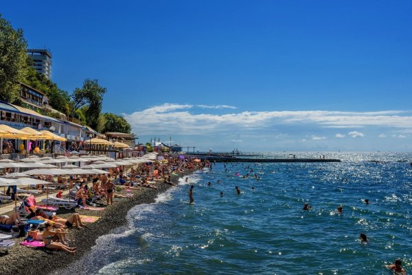 Сочи Адлер море пальмы